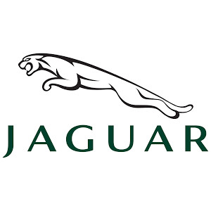 Image Jaguar